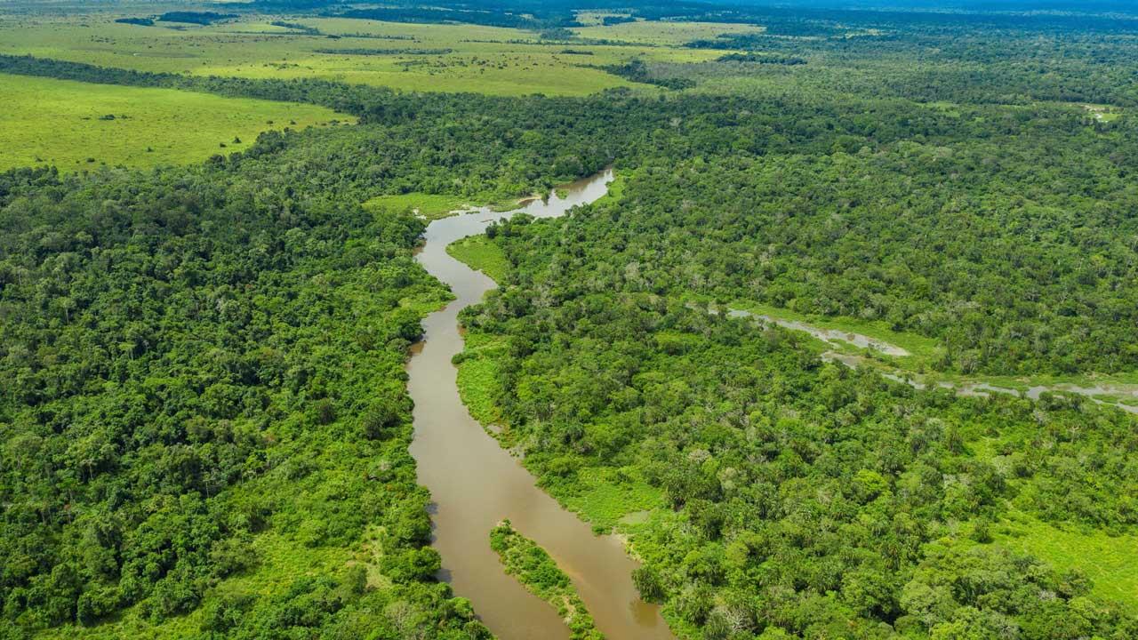 Aerial view of a meandering jungle river in the rainforest of the Congo Basin. Odzala National Park, Republic of Congo