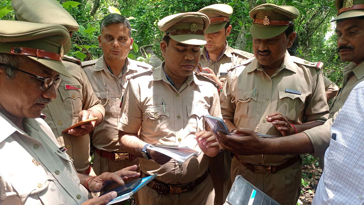 Forest officers viewing the Van System, a mobile app and web portal for forest inventory and ecosystem data collection, on their smartphones